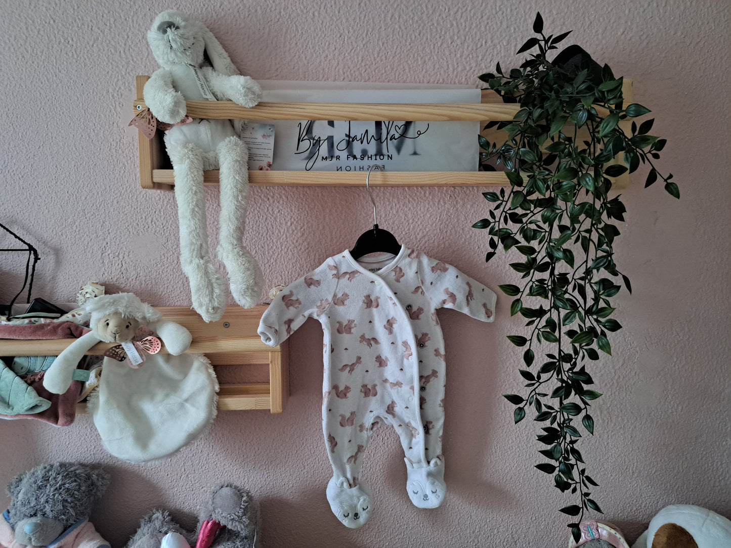 Boxpakje - eekhoorntjes🐿️