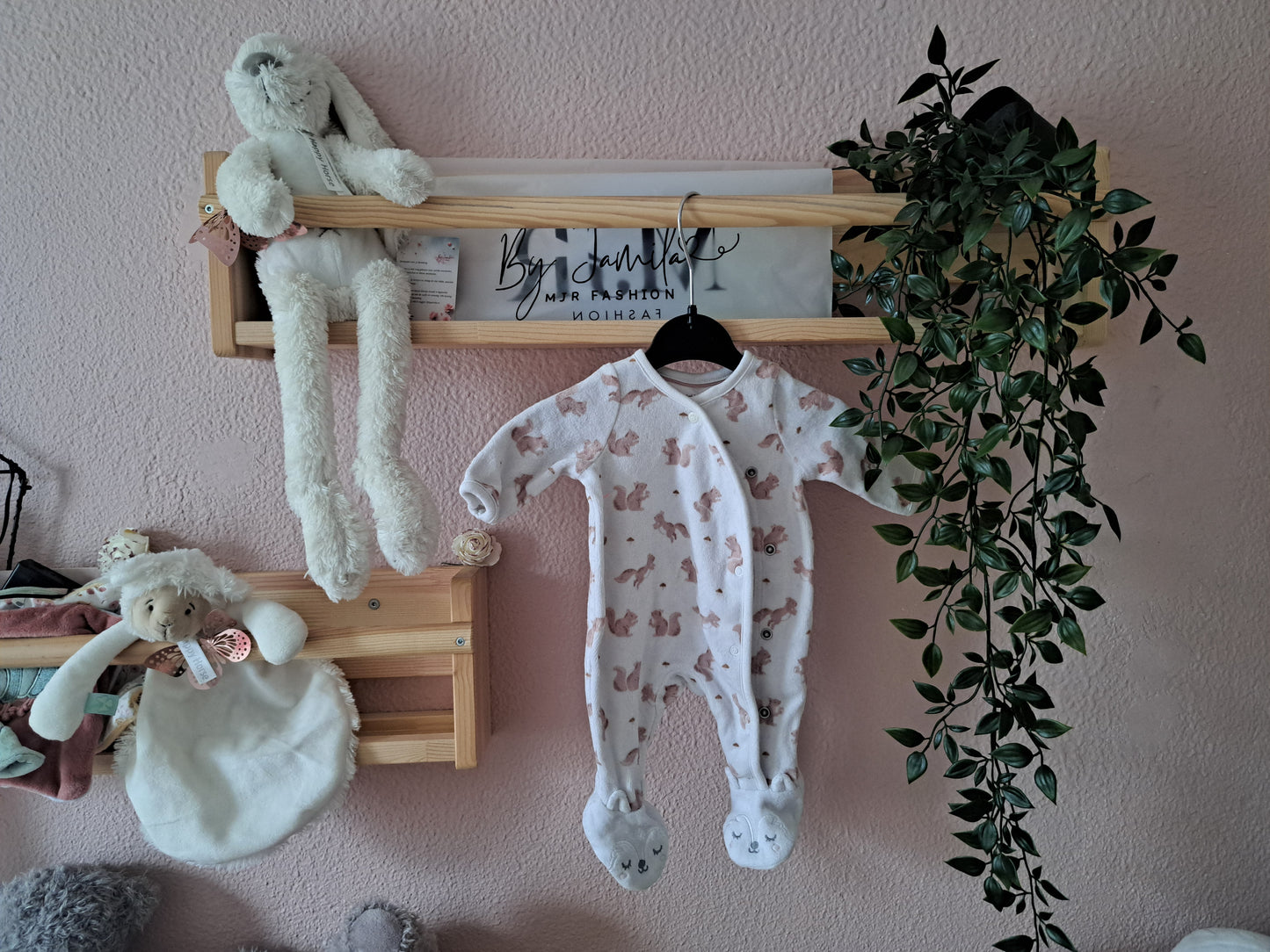 Boxpakje - eekhoorntjes🐿️